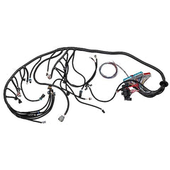 LS Standalone Wiring Harness 4L60E DBC Compatible with 1997-2006 GM LS1 Gen 3 Vortec Swap Engine 4.8 5.3 6.0 Stand Alone Wire Harness Drive by Cable, 60A Relay, EV1 Fuel Injector Connector