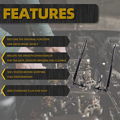 One Pair Electric Rear Tailgate Power Lift Support Shock Strut Compatible with Toyota RAV4 2013-2018 Rplace 6892009010 6891009010