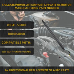 Rear Electric Tailgate Power Lift Support Shock Strut Compatible with Hyundai Palisade 2020 2021 2022 2023 2024 Replaces# 81831-S8100 81831S8100 Left Side 1 Pcs