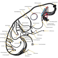 LS Standalone Wiring Harness 4L60E DBC Compatible with 1997-2006 GM LS1 Gen 3 Vortec Swap Engine 4.8 5.3 6.0 Stand Alone Wire Harness Drive by Cable, 60A Relay, EV1 Fuel Injector Connector