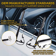 One Pair Electric Rear Tailgate Power Lift Support Shock Strut Compatible with Toyota RAV4 2013-2018 Rplace 6892009010 6891009010