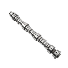 Rear Camshaft 14200-RGW-A01 Compatible with Honda Odyssey 3.5L V6 2008-2017 Honda Pilot 3.5L V6 2009-2015 OE# 14200-RGW-A02 14200RGWA01 14200RGWA02 14200-RGW-A10 14200-RGW-A11