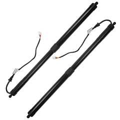 A Pair Rear Electric Tailgate Power Lift Support Shock Strut Compatible with Lexus RX350 2016-2019, RX450h 2016-2017, RX450h 2018-2019, Replaces# 6892048031 6891048071