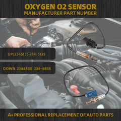 2Pcs O2 Oxygen Sensor Compatible with 2007-2010 Mini Cooper 1.6L L4 Upstream & Downstream Oxygen Sensor Set Replaces# 234-5135 234-4488