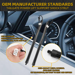 Electric Rear Tailgate Power Lift Support Shock Strut (One Pair) Compatible with 2019-2021 Toyota Rav4 Replace 68910-42060 68920-42020