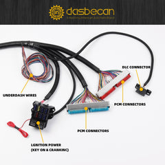 4L80E DBC LS Standalone Wiring Harness Compatible with 1997-2006 GM LS1 Vortec Engines 4.8L 5.3L 6.0L Drive by Cable, EV1 Fuel Injector Connector, with Wiring Guide Manual