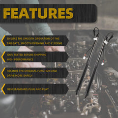 Electric Rear Tailgate Power Lift Support Shock Strut (One Pair) Compatible with 2019-2021 Toyota Rav4 Replace 68910-42060 68920-42020