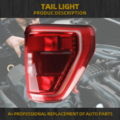 Right Passenger Side Taillight without Bulb Compatible with 21 22 23 Ford F150 XLT Rear Brake Lamp Incandescent Type Blind Spot Module Can Be Installed
