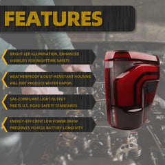 Right Passenger Side LED Tail Light Assembly W/Blind Spot (Module Not Included) Compatible with 2024 2025 Ford F150 Lariat Raptor Platinum Replace RL3Z-13404-C RL34-13B504-CD