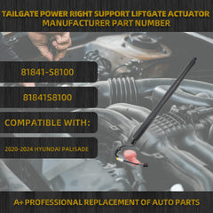 Rear Electric Tailgate Power Lift Support Shock Strut Compatible with Hyundai Palisade 2020 2021 2022 2023 2024 Replaces# 81841-S8100 81841S8100 Right Side 1 Pcs
