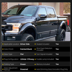 Dasbecan Side Mirror Compatible with Ford F150 17pins