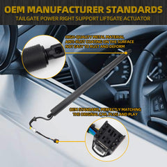 Rear Electric Tailgate Power Lift Support Shock Strut Compatible with Hyundai Palisade 2020 2021 2022 2023 2024 Replaces# 81841-S8100 81841S8100 Right Side 1 Pcs