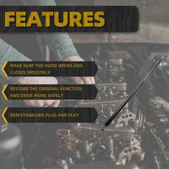 1 PCS Hood Shock Compatible With Kenworth T680 Peterbilt 579 Trucks Hood Strut 30.5 Inch Hood Shock Replace# L716008 L71-6008 L71-6020 A99608 23-K2386