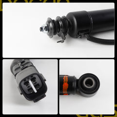 Dasbecan Shock Absorber Compatible with Lexus GX470 Toyota Prado J120 03-09
