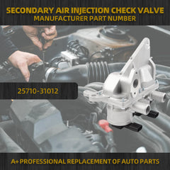 Dasbecan Secondary Air Injection Check Valve