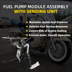 Dasbecan 7512702C Fuel Pump Assembly For Harley Davidson Road King 2002-05