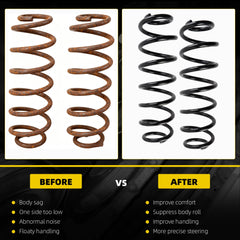 Rear Suspension Heavy Duty Coil Spring Set Compatible with VW Jetta 2012-2018 Eos 2014-2016 Passat 2012-2019 Beetle 2012-2019 Rabbit 2006-2007 Golf 2010-2014 Replace# 1K0511115BE 1K0511115BF